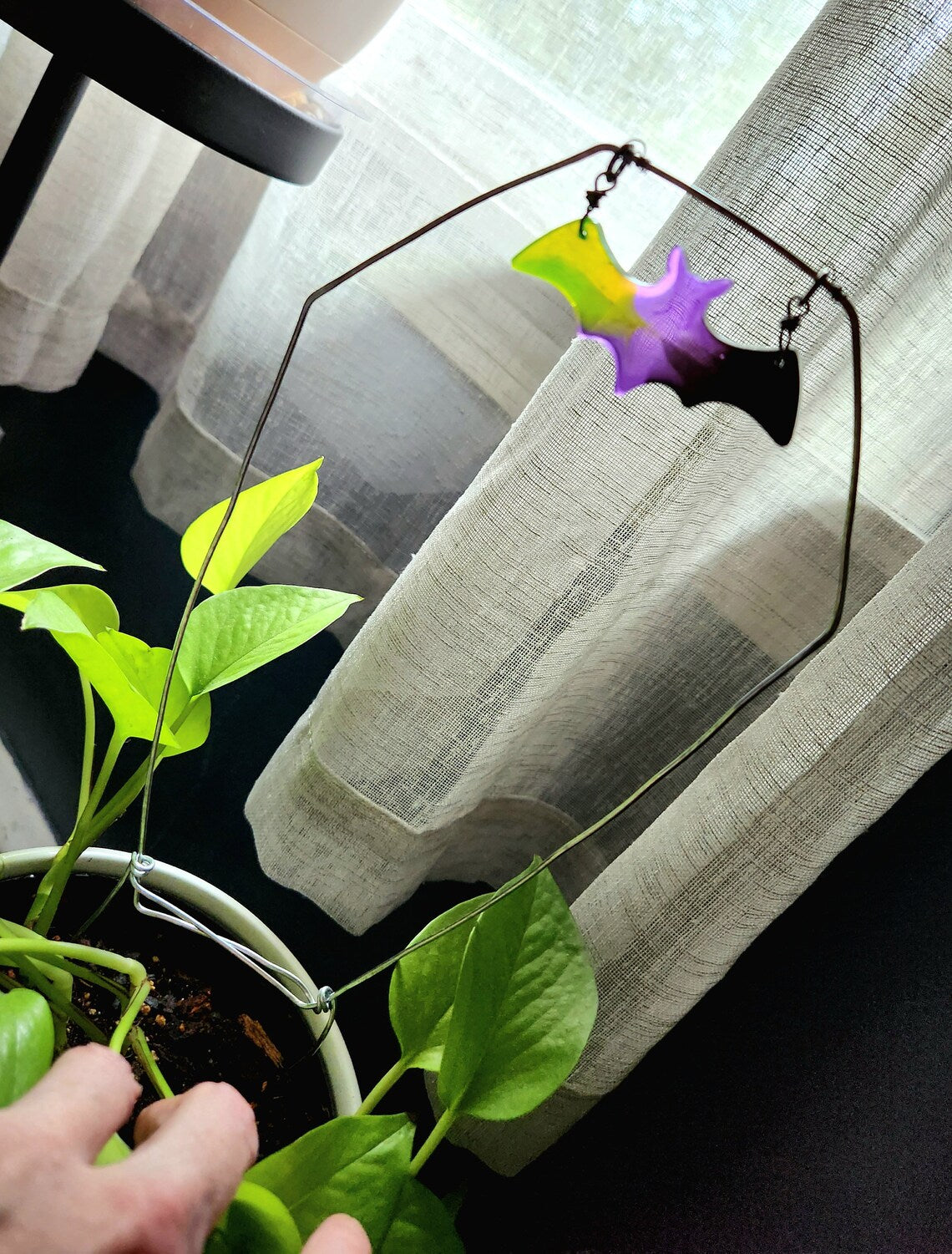 Goth Coffin planter trellis stake