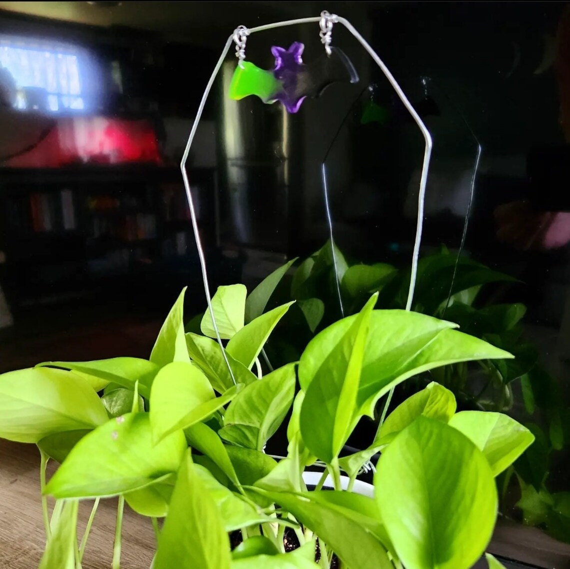 Goth Coffin planter trellis stake
