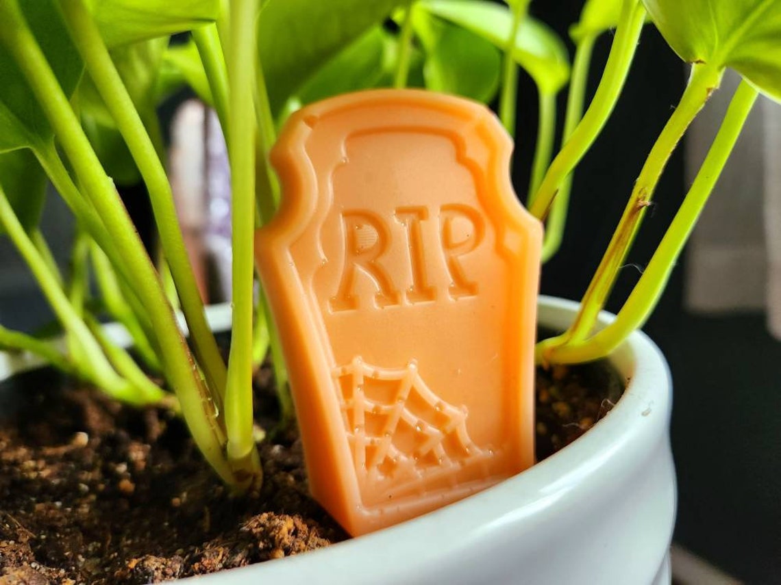 Plant tombstone cemetary decor